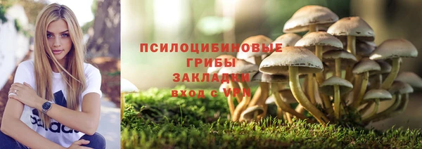 ПСИЛОЦИБИНОВЫЕ ГРИБЫ Армянск