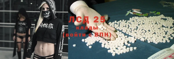стаф Арсеньев
