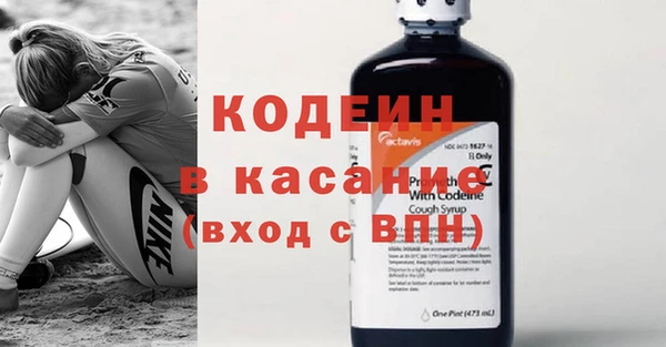 стаф Арсеньев