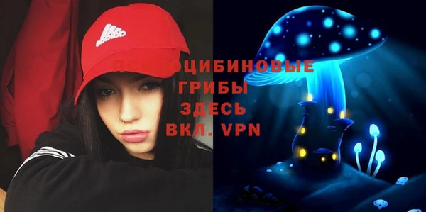 стаф Арсеньев