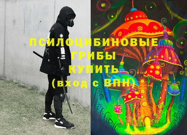 ПСИЛОЦИБИНОВЫЕ ГРИБЫ Армянск