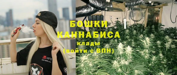 ПСИЛОЦИБИНОВЫЕ ГРИБЫ Армянск