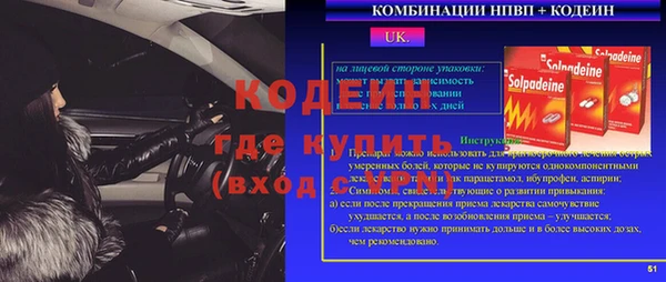 стаф Арсеньев