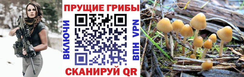 Галлюциногенные грибы GOLDEN TEACHER  Усть-Джегута 