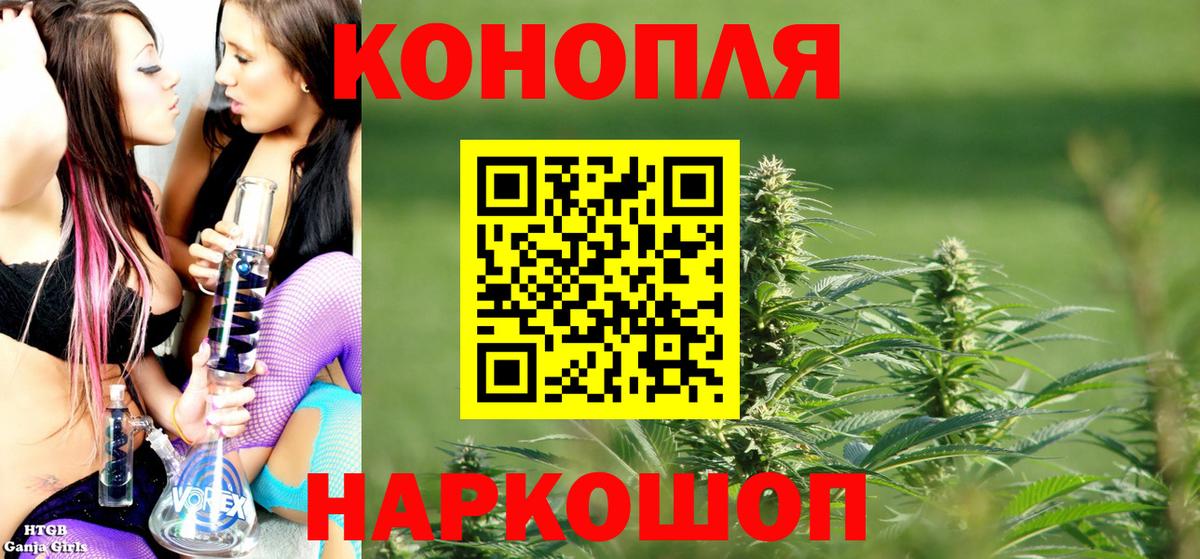 Бошки марихуана план Усть-Джегута